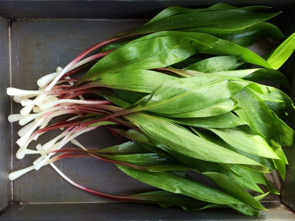 Everything You’ve Always Wanted to Know About Ramps