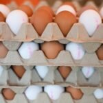 Enough about Greenland. The US now wants Denmark's help with its egg shortage.