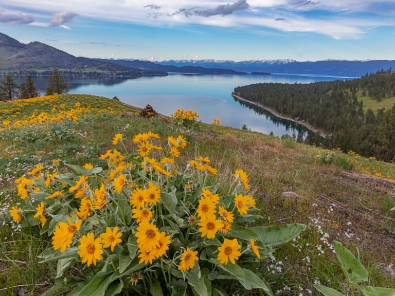 I grew up near Glacier National Park. After spending time there, check out these 6 hidden gems in the area.