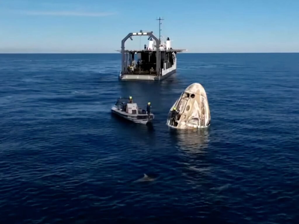 Curious dolphins welcomed NASA astronauts back to Earth after their 9-month saga stuck in space