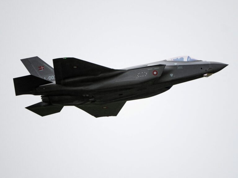 Denmark's defense committee head said he regrets choosing the F-35: 'We must avoid American weapons if at all possible'