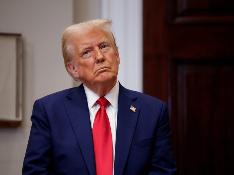 Trump wants DOGE to look at voter rolls