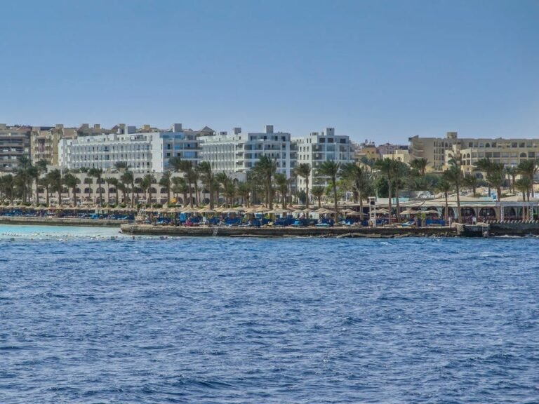 A tourist submarine sank off the Egyptian coast, killing several passengers