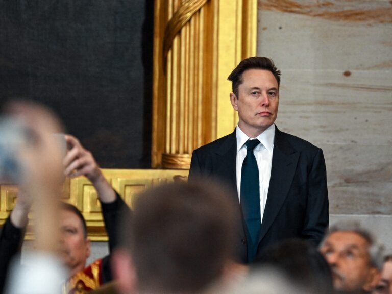 Elon Musk says his companies are 'suffering' because of his work with the White House