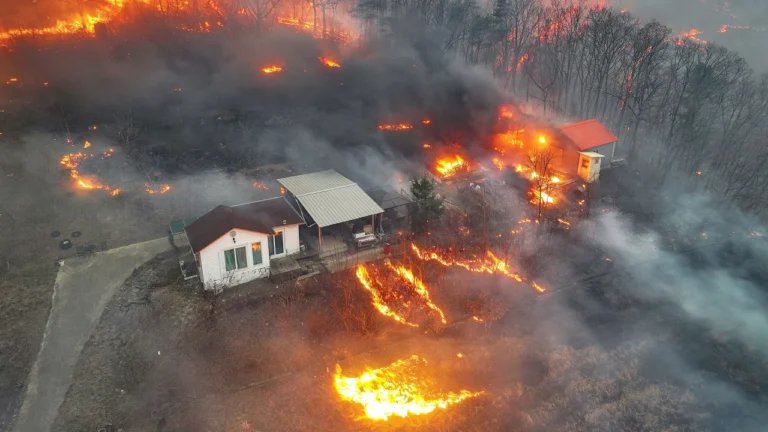 Wildfires ravage South Korea, forcing 27,000 to evacuate