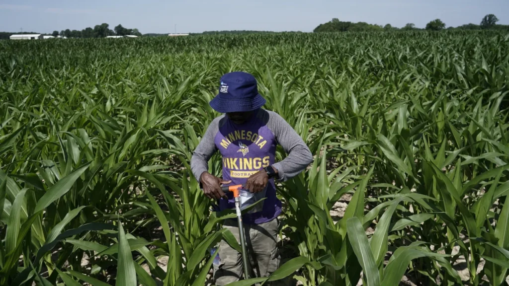 Funding cuts devastate agricultural researchers and farmers working to fight climate change