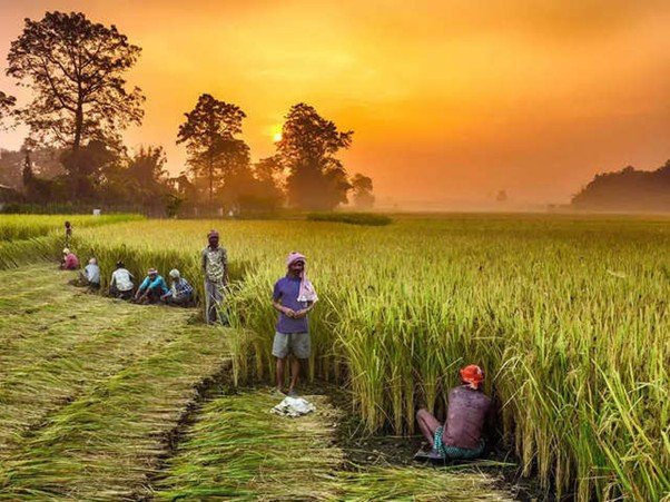 New Dawn for Indian Agriculture