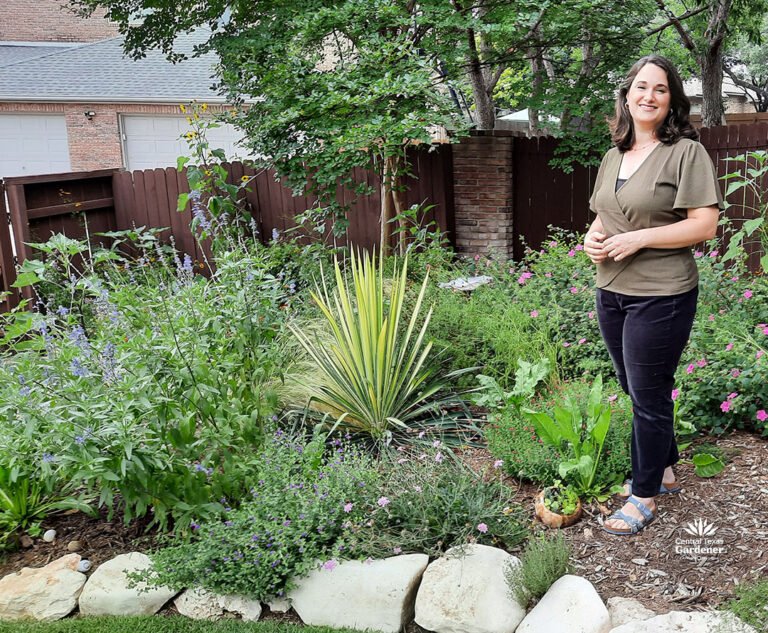 Drought-tough Cottage Design with Native Plants