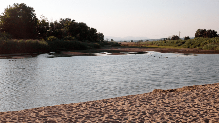 Carbon-Nutrient Ratios Drive Nitrate Removal in Mediterranean Streams