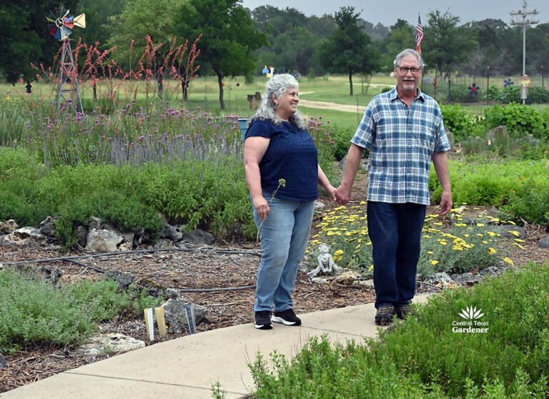 From Cattle Ranch to Wildlife Paradise