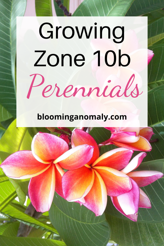 The Ultimate Guide to Growing Zone 10b Perennials