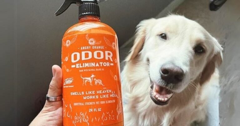 Angry Orange Pet Odor Eliminator 2-Pack Just $13 Shipped on Amazon (Reg. $32)