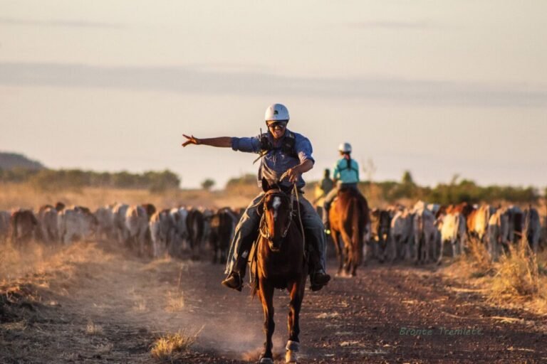 A cheeky mustering pic wins #AgDay photo comp 