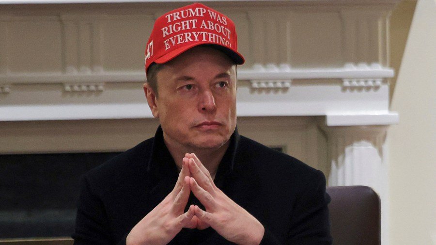 Musk grapples with DOGE image