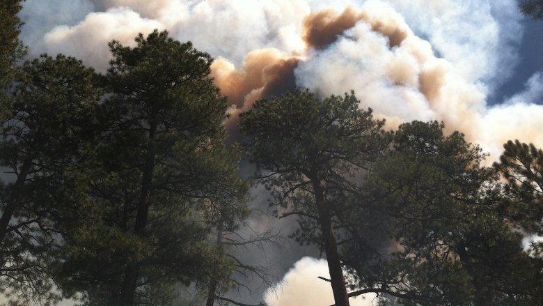 NIH Cancels Climate and Health Research Grants