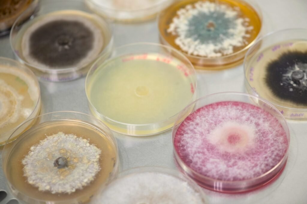 Jord Bioscience musters ‘interacting microbes’ to speed up development in crop protection