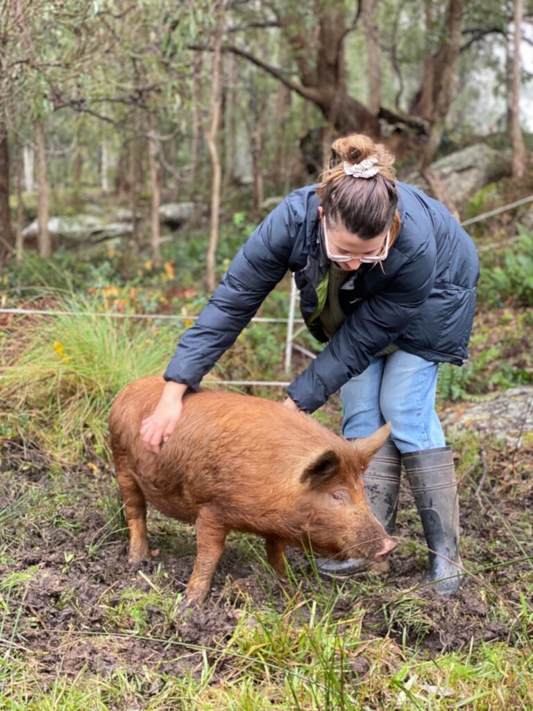 From Pigs in a Station Wagon to a Thriving Food Forest