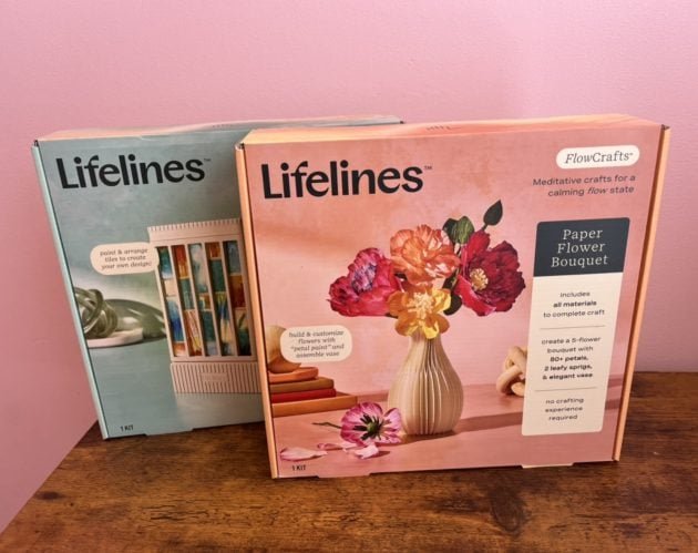Lifelines FlowCrafts for Teens and Adults only $17.99!