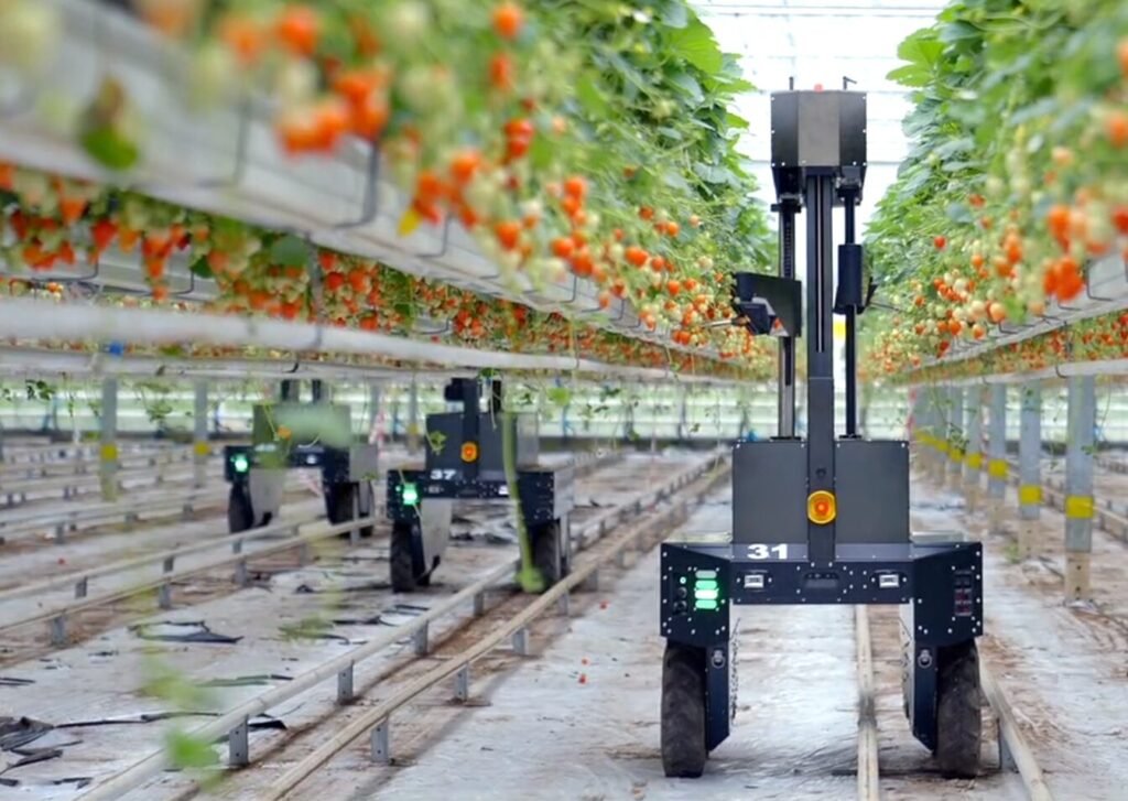 Exit for Tortuga AgTech as Oishii acquires the ag robotics company’s IP, assets, and engineering team