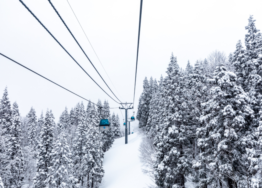 Ski Moms Cyber Week Small Business