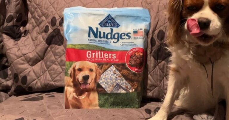 Blue Buffalo Nudges Grillers Dog Treats Only $12.99 Shipped on Amazon (Reg. $28)