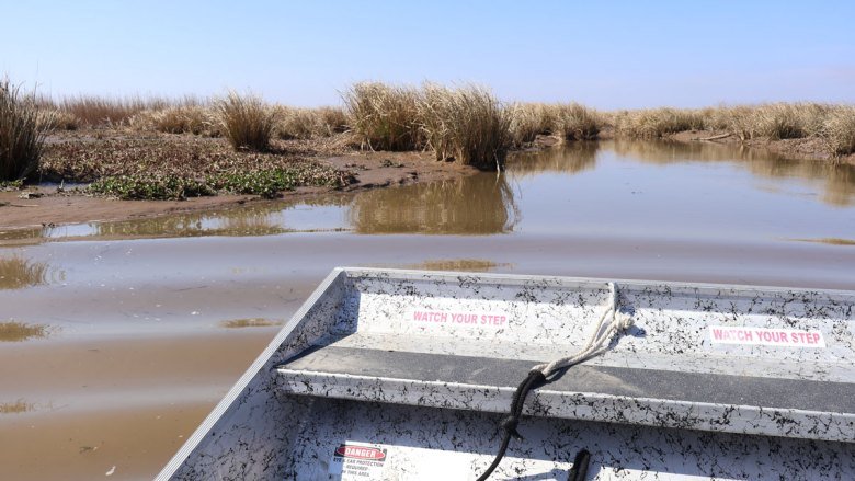 Louisiana’s Wetlands Store Massive Amounts of Carbon. But When Destroyed, They Release It.