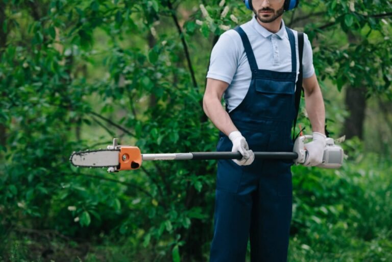 How to Select the Perfect Pole Chainsaw for Trimming High Branches