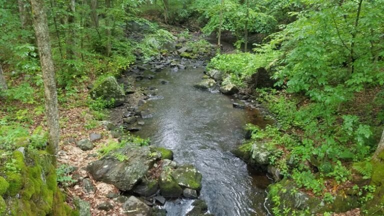 Seeping Groundwater Can Be a Hidden Source of Greenhouse Gases