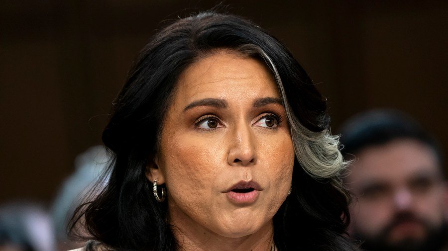 Gabbard says it was 'mistake' for reporter to be added to Signal group chat