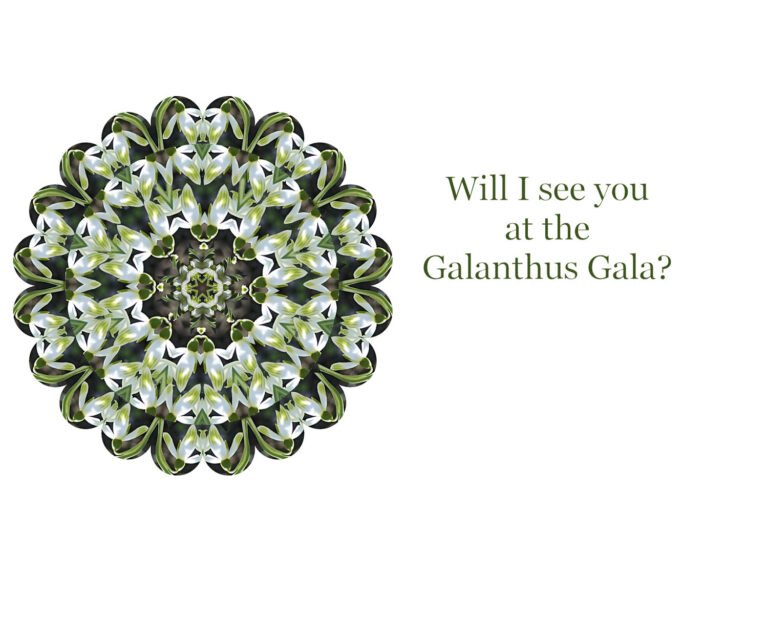 Will I see you at the Galanthus Gala?