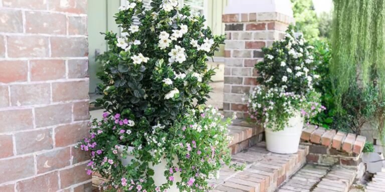 Up to 35% Off Home Depot Live Plants + Free Shipping | Flowers, Shrubs, & More!