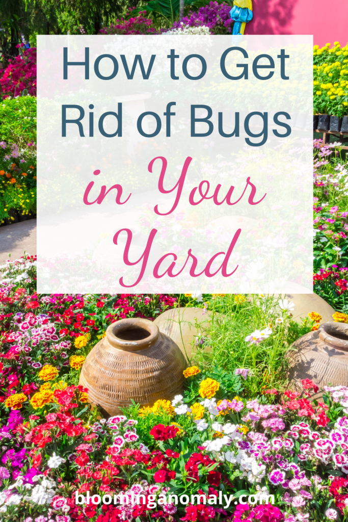 How to Get Rid of Bugs in Your Yard for Good