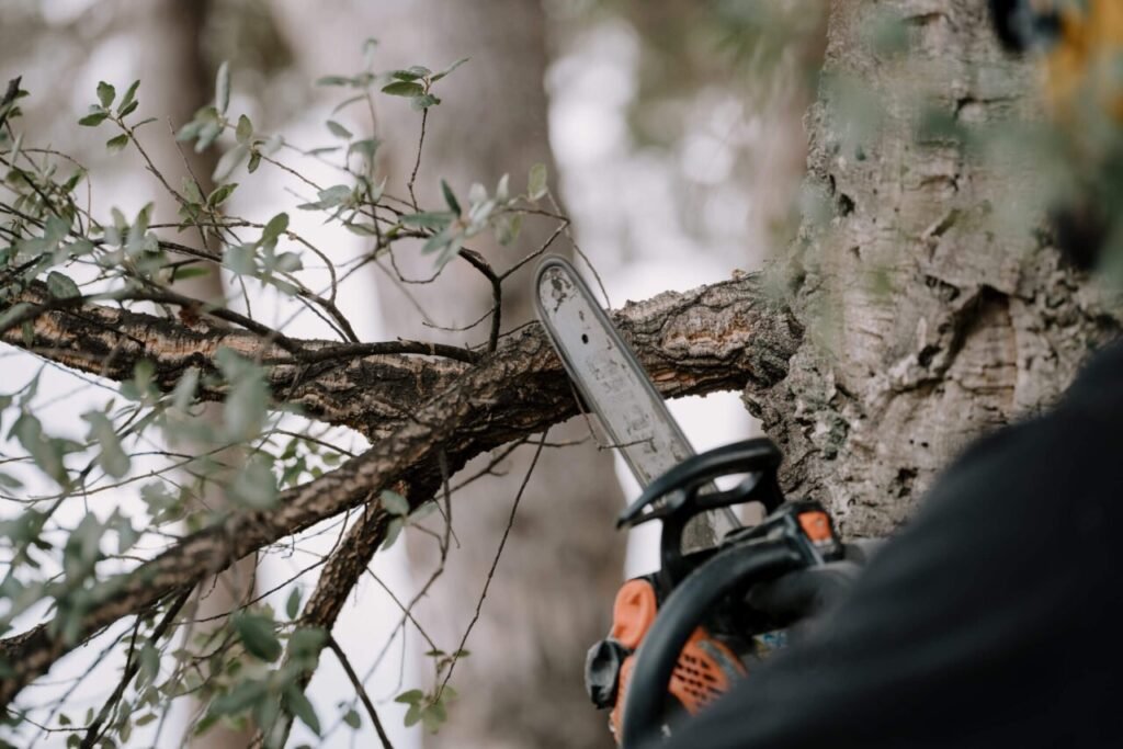Mastering Chainsaw Cutting Angles for Precision Tree Felling