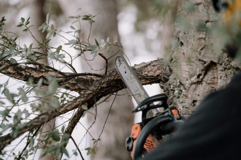 Mastering Chainsaw Cutting Angles for Precision Tree Felling