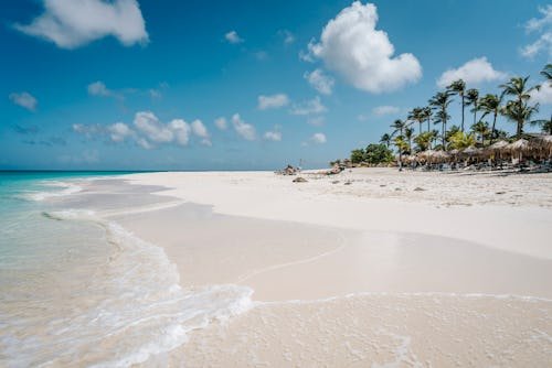Things To Do In Aruba, The Ultimate "Live Like A Local" Vacation