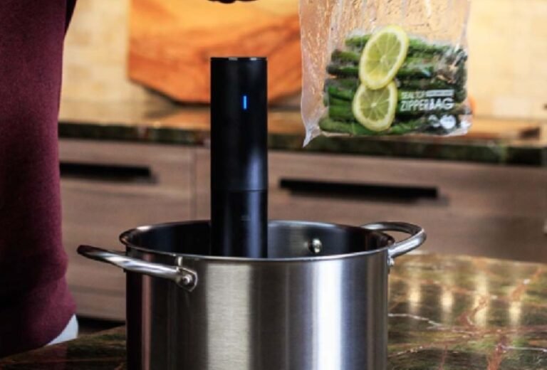 Anova Sous Vide Precision Cooker JUST $20 on Walmart.com (Reg. $95)