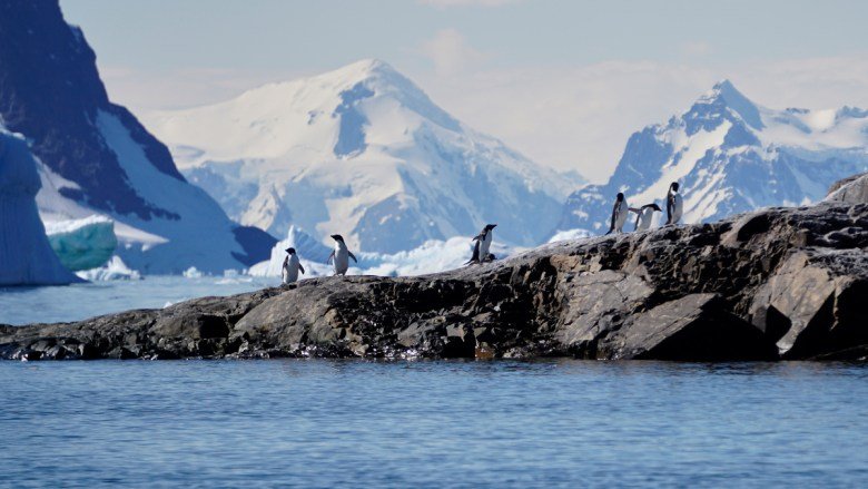 Forecasting the Future of Southern Ocean Ecosystems