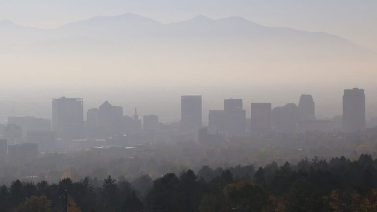 Higher Ozone Levels Tied to Heart Attack Risk