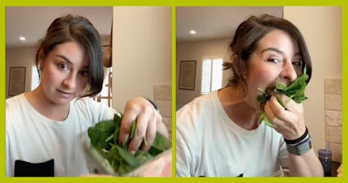 What Is Dinosaur Time? A Fun New Hack To Get Kids To Eat Their Veggies