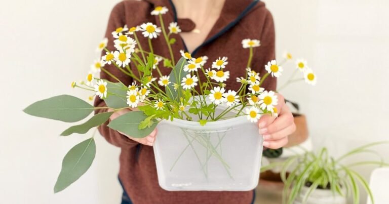 Shop Smart This April: Top Sales & Free Stuff You Need to Know About