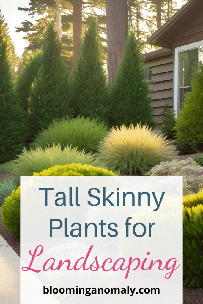 Transform Your Yard with These Tall Skinny Plants for Landscaping