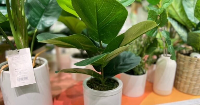 30% Off Artificial Plants & Trees at Target | Prices from $3.50!