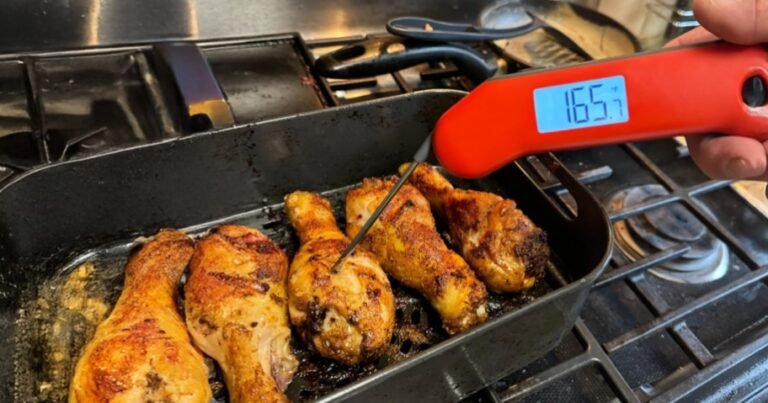 Digital Meat Thermometer Just $7.99 on Amazon | Waterproof w/ Magnetic Back