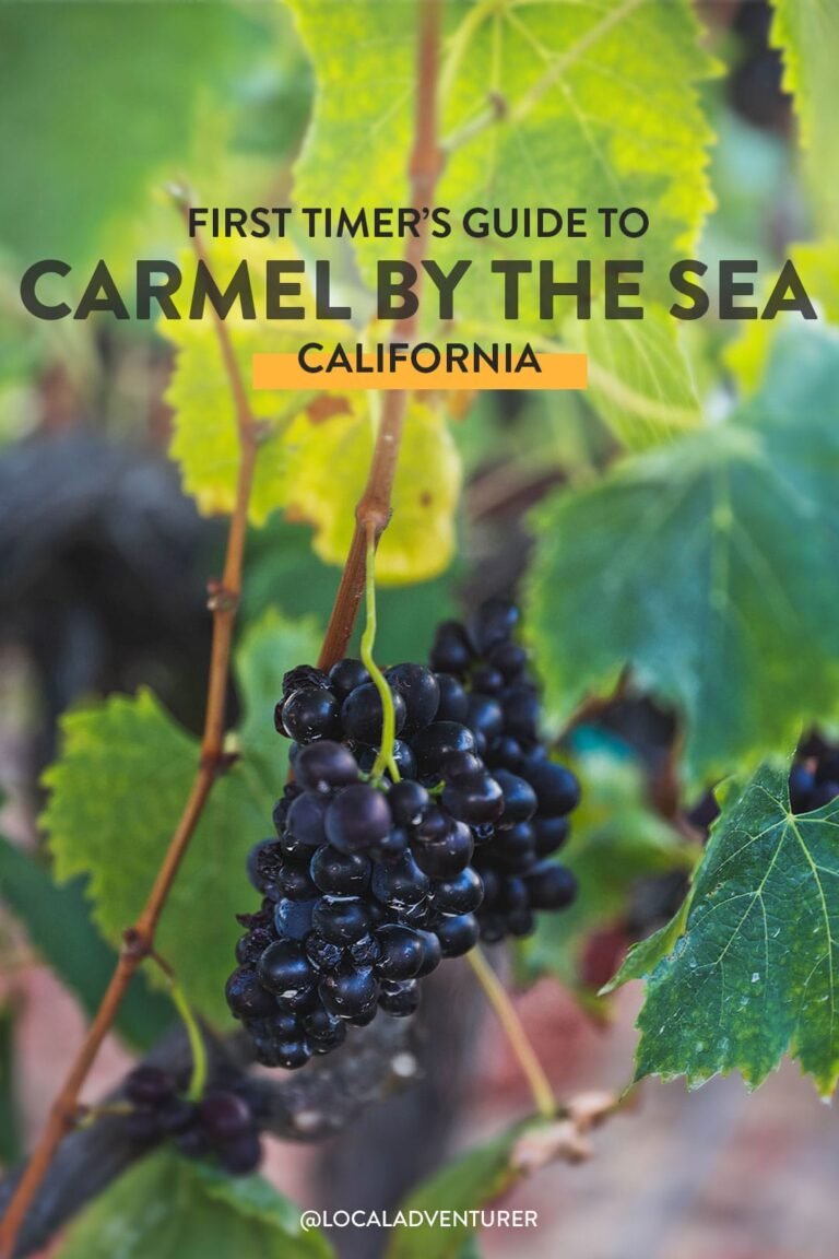 15 Incredible Things to Do in Carmel By The Sea