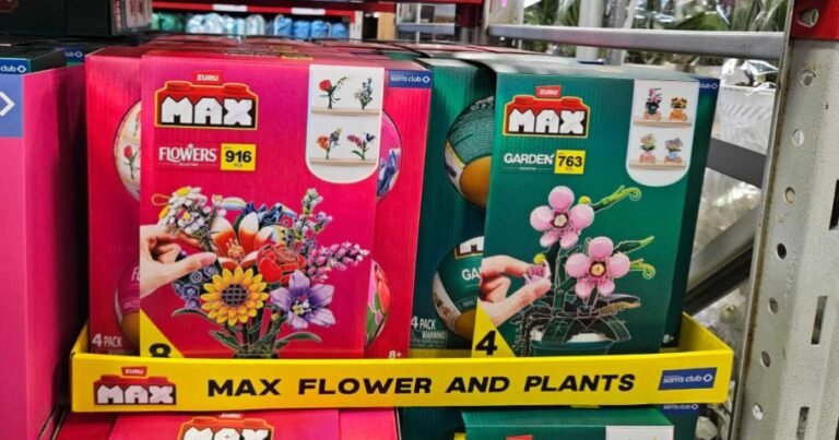 New Sam’s Club Toys | Building Bricks, Disney Paint Kits, Craft Kits, & More!