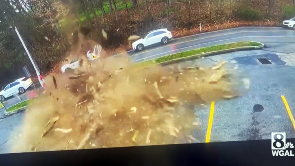 Massive Tree Crushes Ford SUV Like A Tin Can, But The Driver Escapes