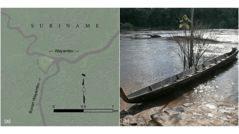 Strange Branching of Water Flows Through Rivers and Lakes