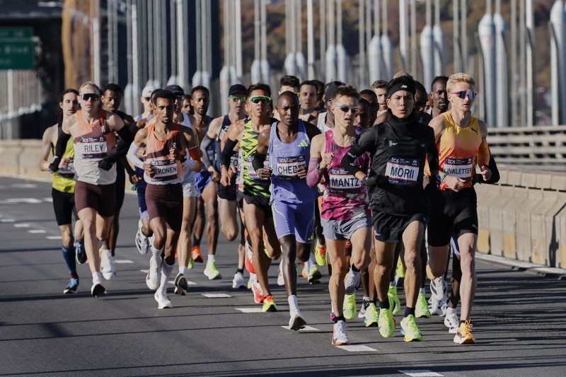 Reversible damage found in marathon runners' brains: Study