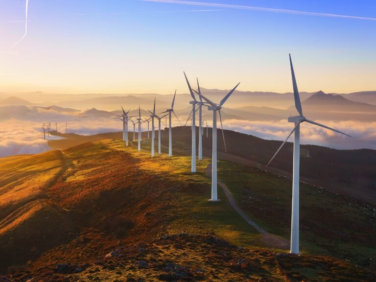 How graduates can get creative to land a climate tech job in Trump 2.0