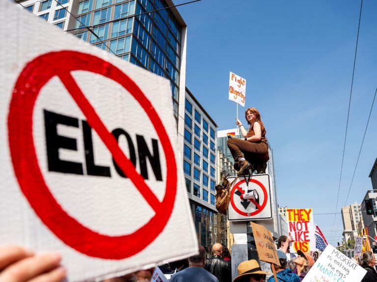 Inside the Tesla Takedown: How anger at Elon Musk boiled over into a global protest movement